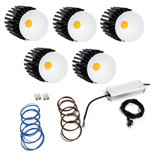 Kit leDbell 250W 2700K CRI97