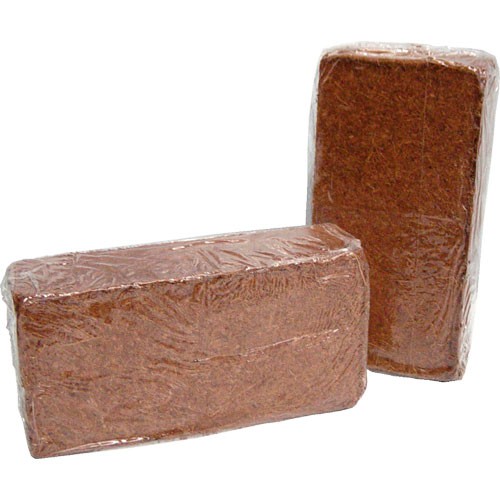 Coco Ladrillo THC 24 uds