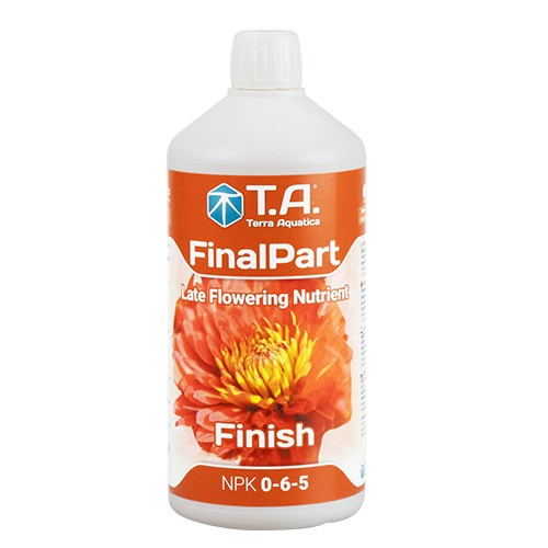 Final Part 1 L TA (12 u/c)