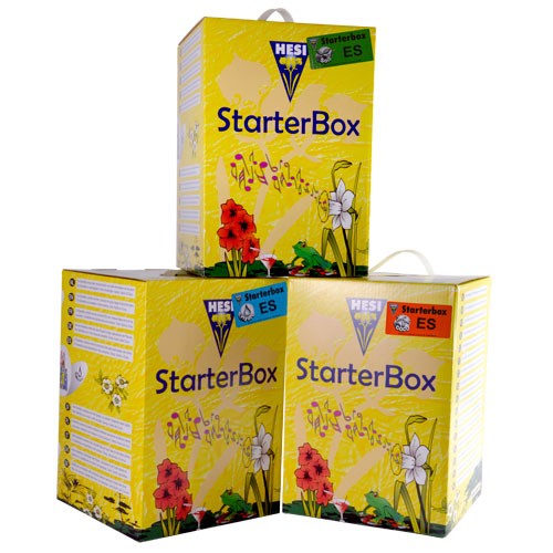 Starter Box Coco Hesi (4 u/c)