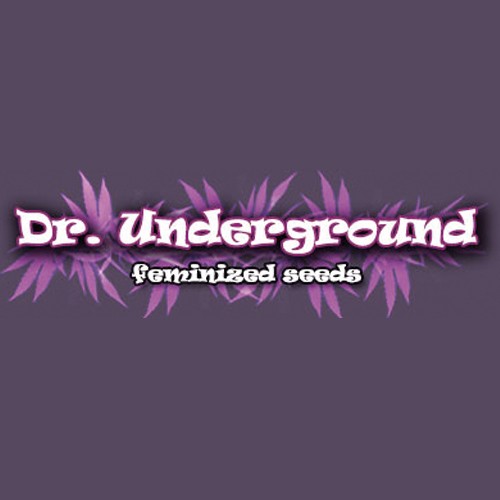Brooklyn Mango 4 Fem Dr Underground
