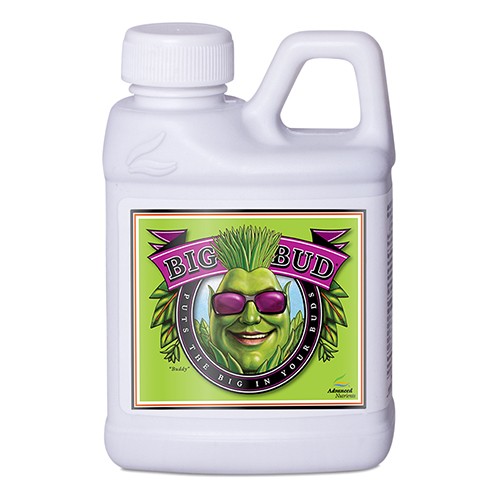 Big Bud Liquid 250ml Advanced N (12u/c)