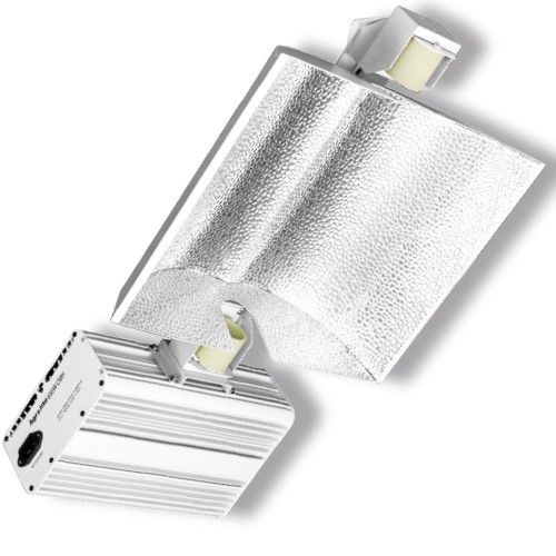 Luminaria CMH 2x315W Agrolite (No bomb)