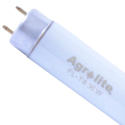 Fluorescente T8 Agrolite 36 W Roots*