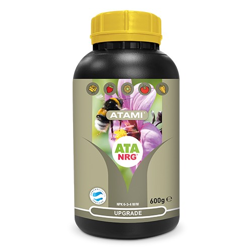 NRG Upgrade 600gr ATA (12 u/c)