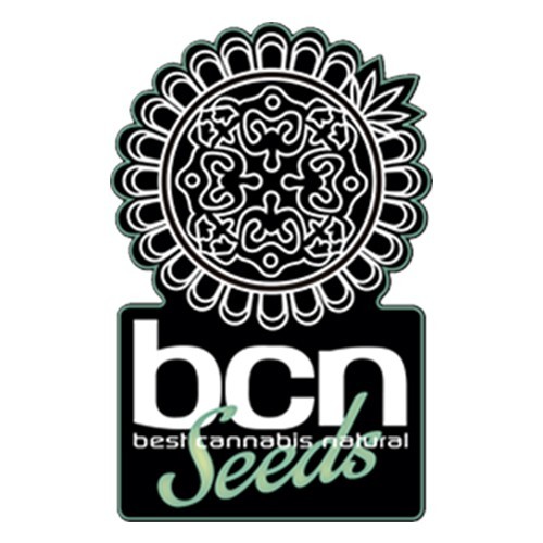 Fruity M Mas 1 Fem BCN Seeds*