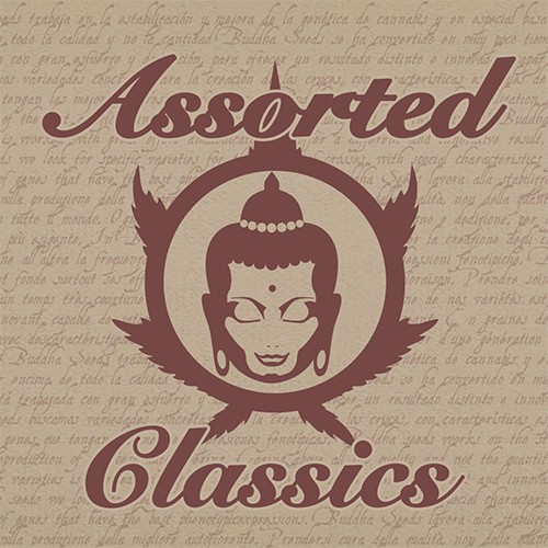 Buddha Assorted Classics 10 Fem BS