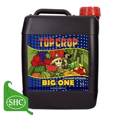 Big One 5 L Top Crop (3 u/c)
