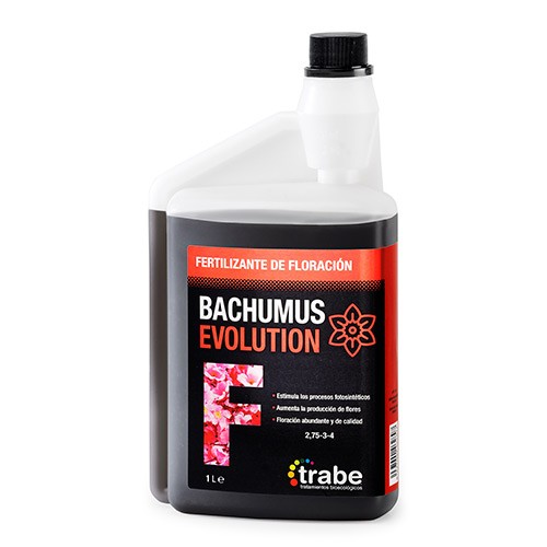 Bachumus Evolution 1L Flor Trabe(12u/c)