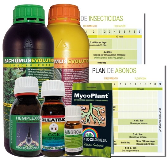 Kit Evolution Protection Trabe*