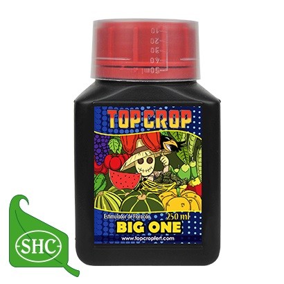 UK Big One 250 ml Top Crop (12 uds/caja)