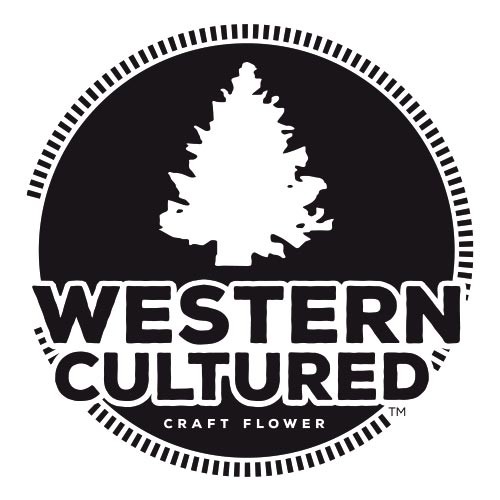 Seatown Lemon Haze 3 Fem Western Cultur