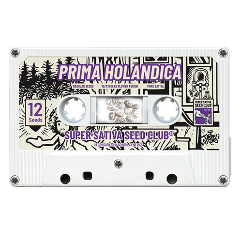 Prima Holandica 12 Reg Super Sativa S