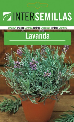 SC Lavanda