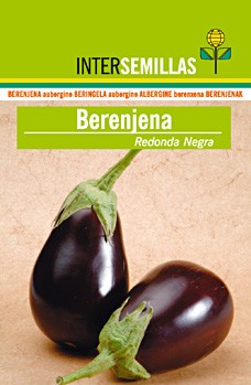 SC Berenjena Redonda Negra