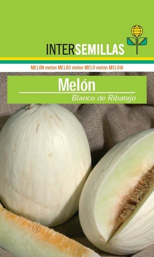 SC Melón Blanco Ribatejo