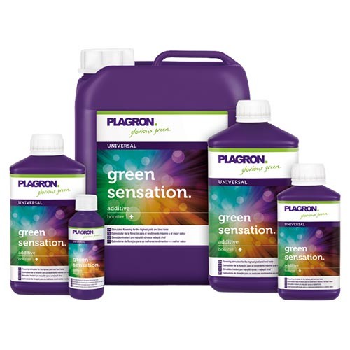 Green Sensation 10 L Plagron