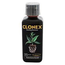 Clonex 300 ml Growth Technology (12 uds/