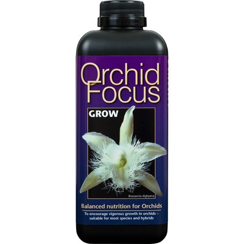 Orchid Focus Grow 1 L Growth T(12 u/c)*