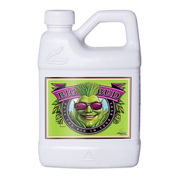 [ADNBB500] Big Bud Liquid 500ml Advanced N (12u/c)