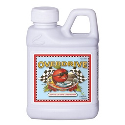 [ADNOD250] Overdrive 250ml Advanced N (12u/c)