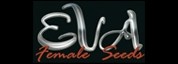 [EVA3EX] Excalibur 3 Fem Eva Seeds