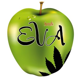 [EVA3FC] Furious Candy 3 Fem Eva Seeds