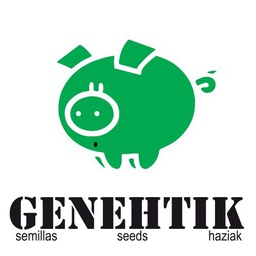 [GENAK5] Ak Auto Goxuak 5 Fem Genehtik*