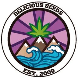 [DSCCF3] Delicious Candy 3 Fem Delicious Seeds