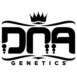 [DNARC] ReCon 6 Fem DNA Genetics