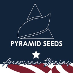 [ASPDS3] Do-Si-Dos 3 Fem American Strains