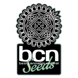 [BCNFM1] Fruity M Mas 1 Fem BCN Seeds*