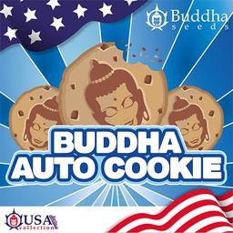 [BSBACKF10] Buddha Auto Cookie 10 Fem Buddha Seeds