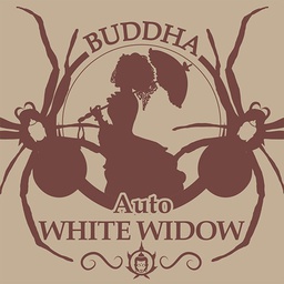[BSBAWWF10] Buddha Auto White Widow Classic 10FemBS