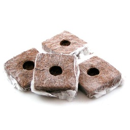 [COBL10] Coco Block 10x10x6,5 cm (92 u/c)