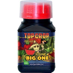 [TCBO250] Big One 250 ml Top Crop (12 u/c)