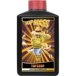 [TCMS1] Top Mass 1 L Top Crop