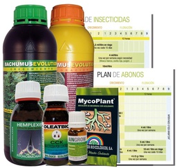 [TRPACK] Kit Evolution Protection Trabe*