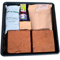 [UCL] Pack Urban Crop L