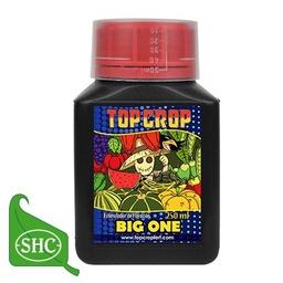 [UKTCBO250] UK Big One 250 ml Top Crop (12 uds/caja)