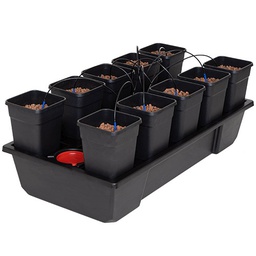 [WM10] Wilma 10 Small Wide(incluye maceta 6,5L)