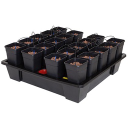 [WM20] Wilma 20 XXL (incluye macetas 65 L)