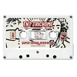 [SSSC10] TnT Trichome 8 Fem Super Sativa Seed C