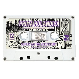 [SSSC7] Prima Holandica 12 Reg Super Sativa S