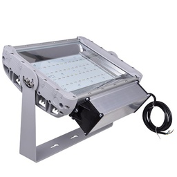 [RTETILED] Agroled Flood Light*