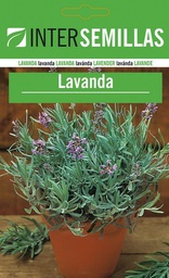 [SCA005] SC Lavanda
