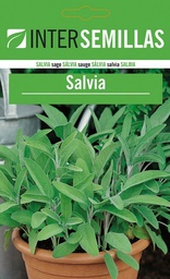 [SCA010] SC Salvia
