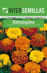 [SCF011] SC Damasquina*