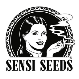 [SS002] Shiva Shanti 2 10 Reg Sensi Seeds
