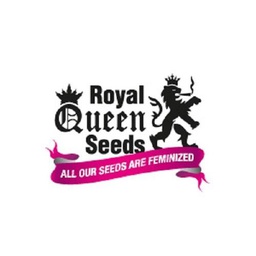 [RQGGA3] Green Gelato Auto 3 Fem Royal Queen S